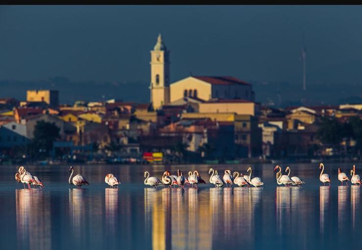 Casale Villa Giulia Marina Di 레시나 외부 사진